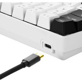 Sharkoon SGK50 S4 tastiera USB QWERTY Spagnolo Bianco, Tastiera da gioco bianco/Nero, 60%, USB, QWERTY, LED RGB, Bianco
