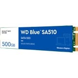 WD Blue SA510 M.2 500 GB Serial ATA III, Disco a stato solido blu/Bianco, 500 GB, M.2, 560 MB/s, 6 Gbit/s