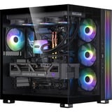 ALTERNATE AGP-WINDOW-AMD-011 Nero/trasparente