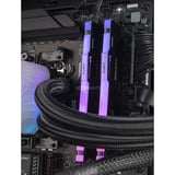 ALTERNATE AGP-WINDOW-AMD-011 Nero/trasparente