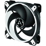 ARCTIC BioniX P120 Case per computer Ventilatore 12 cm Nero, Bianco Nero/Bianco, Ventilatore, 12 cm, 2100 Giri/min, 25,5 dB, 67,56 pdc/min, 114,79 m³/h