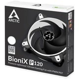 ARCTIC BioniX P120 Case per computer Ventilatore 12 cm Nero, Bianco Nero/Bianco, Ventilatore, 12 cm, 2100 Giri/min, 25,5 dB, 67,56 pdc/min, 114,79 m³/h