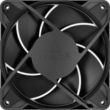 ARCTIC P12 Pro PST LN, Ventola Nero