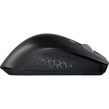 CHERRY JW-8550-2, Mouse Nero