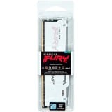 Kingston FURY KF560C30BWEA-32, Memoria bianco