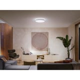 Philips Hue Lampada da soffitto White Ambiance Enrave L, Luce LED bianco