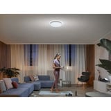Philips Hue Lampada da soffitto White Ambiance Enrave L, Luce LED bianco