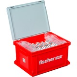 fischer FIS VL 300 T, 553657, Malta grigio
