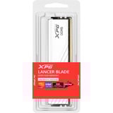 ADATA LANCER BLADE RGB DDR5 memoria 16 GB 1 x 16 GB 6000 MT/s bianco, 16 GB, 1 x 16 GB, DDR5, 6000 MHz, 288-pin DIMM, Bianco
