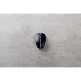 CHERRY JW-7500-2, Mouse Nero