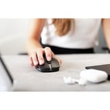 CHERRY JW-7500-2, Mouse Nero