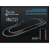 Carrera 50050001, Ippodromo 