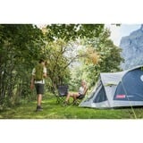 Coleman Tenda a cupola per 3 persone Darwin 3 Plus grigio/verde chiaro