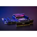 Crucial DIMM 32 GB DDR5-6000 (2x 16 GB) Kit doppio, Memoria Nero