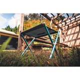 Helinox Speed Stool 14501, Sedia Nero/Blu