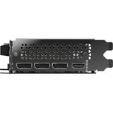 PNY GeForce RTX 5050 Ventola Singola, Scheda grafica 