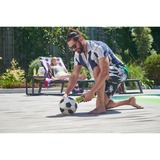 Ryobi RI4-0, Pompa di aria verde/grigio