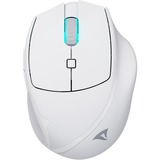 Sharkoon OfficePal M25W, Mouse bianco