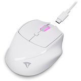 Sharkoon OfficePal M25W, Mouse bianco