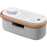 Sony SRS-LSR200 altoparlante portatile e per feste Bianco bianco, Con cavo e senza cavo, USB tipo-C, Bianco, Pulsanti, IPX2, TV