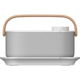 Sony SRS-LSR200 altoparlante portatile e per feste Bianco bianco, Con cavo e senza cavo, USB tipo-C, Bianco, Pulsanti, IPX2, TV