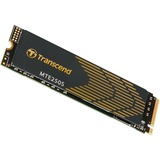 Transcend 250S 1 TB Nero/Oro