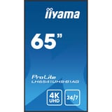 iiyama ProLite LH6541UHS-B1AG, Public Display nero lucido