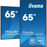 iiyama ProLite LH6541UHS-B1AG, Public Display nero lucido