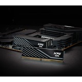 ADATA AX5U6000C3032G-SLABBK Nero