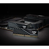 ADATA AX5U6000C3032G-SLABBK, Memoria Nero