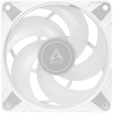 ARCTIC P14 PWM PST A-RGB bianco