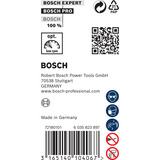 Bosch 2 608 597 412 non classificato, Trapano 
