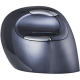 Evoluent Evoluent D mouse Mano destra RF Wireless 3200 DPI Nero/Argento, Mano destra, RF Wireless, 3200 DPI, Nero, Blu