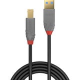 Lindy Cavo USB 3.2 tipo A a B, Anthra Line grigio