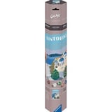 Ravensburger 23906, Vernice 