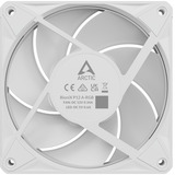 ARCTIC BioniX P12 A-RGB, Ventola bianco/Bianco