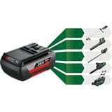 Bosch Set di avvio 36V (GBA 36V 6.0Ah + AL 36V-20) Nero