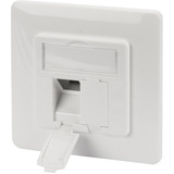 Digitus Piastra frontale + telaio di montaggio per multimedia/Keystone, Pannello frontale bianco