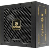 Enermax ERV850G-AHG-NAC, Alimentatore PC 