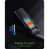 ICY BOX 61124, Disk enclosure Nero