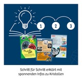 KOSMOS Coltivare cristalli, Casella di esperimento 