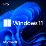 Microsoft Windows 11 Pro 1 licenza/e Produttore di apparecchiature originali (OEM), 1 licenza/e, 64 GB, 4096 GB, 1000 GHz, Tedesca