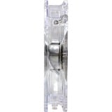 Xilence COO-XPF120.TR Case per computer Ventilatore Trasparente, Ventola trasparente, Ventilatore, Trasparente