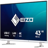 EIZO FlexScan EV4340X-WT Monitor PC 108 cm (42.5") 3840 x 2160 Pixel 4K Ultra HD LCD Bianco, Monitor LED bianco, 108 cm (42.5"), 3840 x 2160 Pixel, 4K Ultra HD, LCD, 5 ms, Bianco