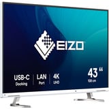 EIZO FlexScan EV4340X-WT Monitor PC 108 cm (42.5") 3840 x 2160 Pixel 4K Ultra HD LED Bianco, Monitor LED bianco, 108 cm (42.5"), 3840 x 2160 Pixel, 4K Ultra HD, LED, 5 ms, Bianco
