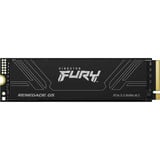 Kingston SFYR2S/2T0, Disco a stato solido Nero