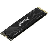 Kingston SFYR2S/2T0, Disco a stato solido Nero