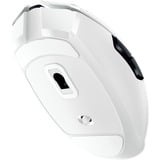 Razer Orochi V2 mouse Mano destra RF Wireless Ottico 18000 DPI bianco, Mano destra, Ottico, RF Wireless, 18000 DPI, Bianco