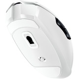 Razer Orochi V2 mouse Mano destra RF Wireless Ottico 18000 DPI, Mouse da gioco bianco, Mano destra, Ottico, RF Wireless, 18000 DPI, Bianco