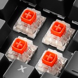 Sharkoon SKILLER SGK60 tastiera USB QWERTY Spagnolo Nero, Tastiera da gioco Nero, Full-size (100%), USB, Interruttore a chiave meccanica, QWERTY, LED RGB, Nero